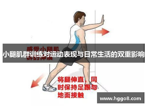 小腿肌群训练对运动表现与日常生活的双重影响